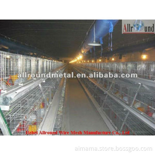Battery Broiler equipment for farm